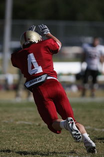 九游官网入口地址-击全运赛场｜跳水开赛首日，陈艺文林珊领衔广东队出战，陈艺文全运会跳水女子3米跳板夺金